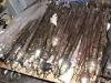CIMG0425
