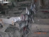 CIMG0474