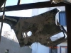 CIMG0549