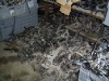 PIC_0035